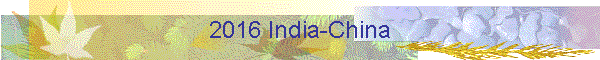 2016 India-China