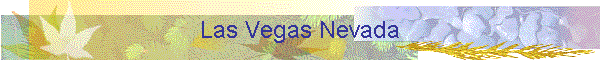 Las Vegas Nevada