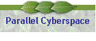 Parallel Cyberspace