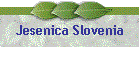 Jesenica Slovenia